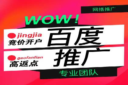 行业领先企业的SEM竞价推广策略揭秘